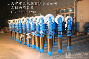 温泉热水井潜水泵选型指南与市场分析